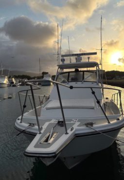 
										BOSTON WHALER 27 full									