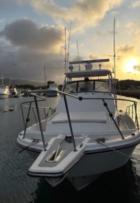 BOSTON WHALER 27