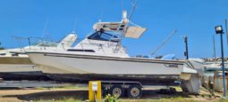 
										BOSTON WHALER 27 full									