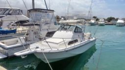 
										BOSTON WHALER 27 full									