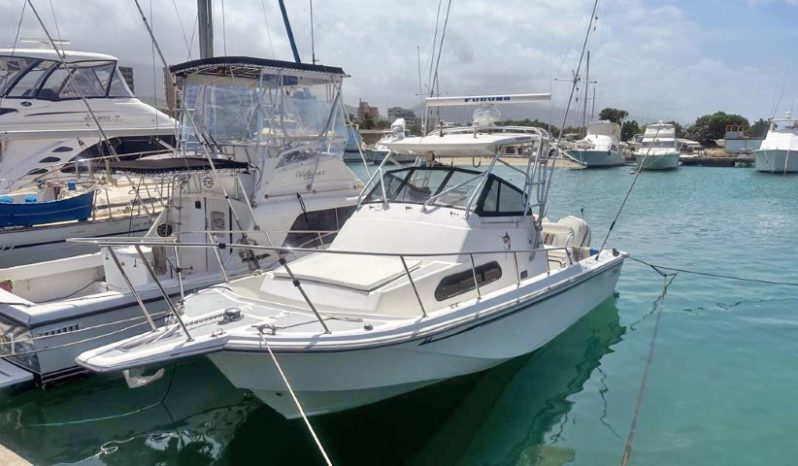 
								BOSTON WHALER 27 full									