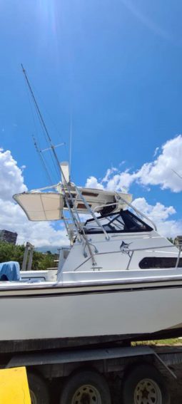 
										BOSTON WHALER 27 full									