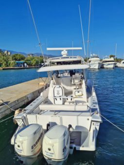 
										BOSTON WHALER 27 full									