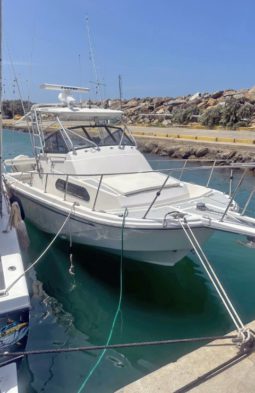 
										BOSTON WHALER 27 full									