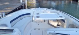 
										CHAPARRAL SUNESTA 28 full									