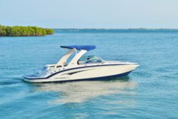 
										CHAPARRAL SUNESTA 28 full									