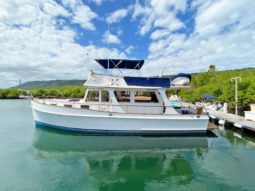 
										GRAND BANKS EUROPA 42 full									