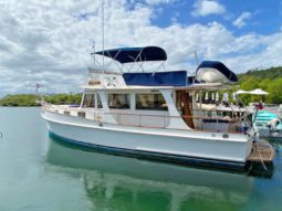 
										GRAND BANKS EUROPA 42 full									