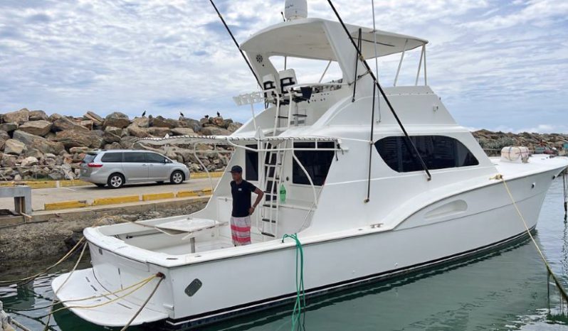 
								HATTERAS CONVERTIBLE 53 full									