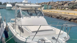 
										BOSTON WHALER 27 full									