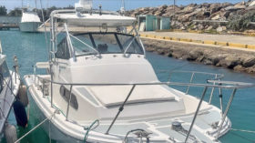 BOSTON WHALER 27