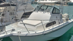 
										BOSTON WHALER 27 full									