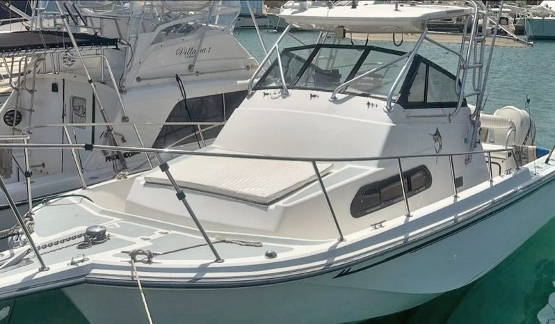 
								BOSTON WHALER 27 full									