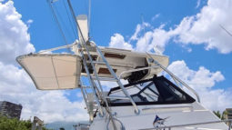 
										BOSTON WHALER 27 full									