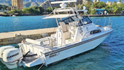 
										BOSTON WHALER 27 full									