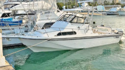 
										BOSTON WHALER 27 full									