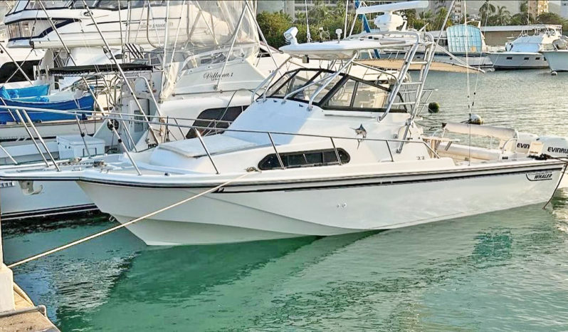 
								BOSTON WHALER 27 full									