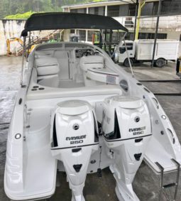 
										INTERMARINE DIAVOLA 32.5 full									