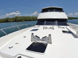 
										MARITIMO FLYBRIDGE 52 full									