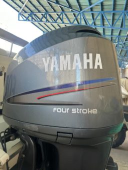 
										PAREJA DE MOTORES YAMAHA 250 HP full									