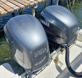 PAREJA DE MOTORES YAMAHA 250 HP