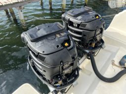 
										PAREJA DE MOTORES YAMAHA 250 HP full									