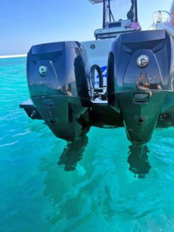 
										PAREJA MOTORES EVINRUDE E-TEC 300 HP full									