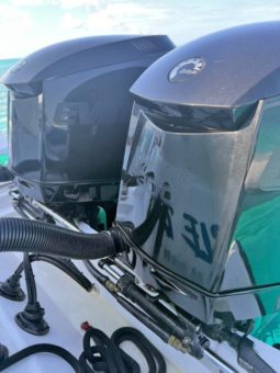 
										PAREJA MOTORES EVINRUDE E-TEC 300 HP full									