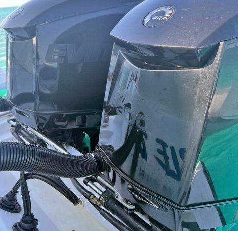 
								PAREJA MOTORES EVINRUDE E-TEC 300 HP full									