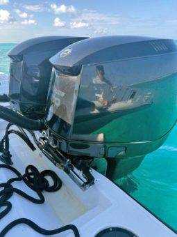 
										PAREJA MOTORES EVINRUDE E-TEC 300 HP full									