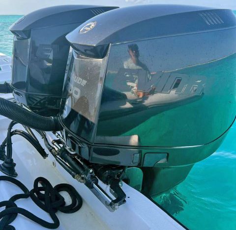 
								PAREJA MOTORES EVINRUDE E-TEC 300 HP full									