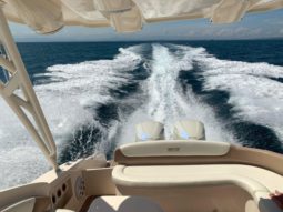 
										PROMARINE EXPRESS 34 full									