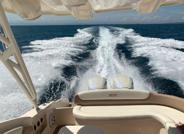 
								PROMARINE EXPRESS 34 full									