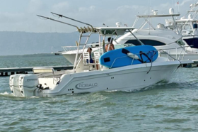 ROBALO 2608 27