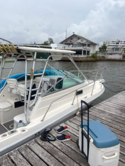 
										ROBALO 2608 27 full									