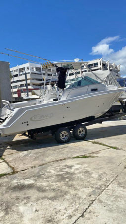 
										ROBALO 2608 27 full									