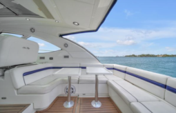 
										SEA RAY MOTOR YACHT 47 full									