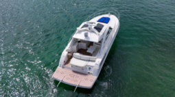 
										SEA RAY MOTOR YACHT 47 full									