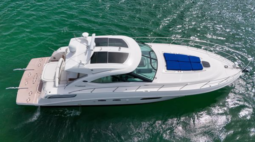 
										SEA RAY MOTOR YACHT 47 full									