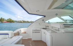 
										SEA RAY MOTOR YACHT 47 full									