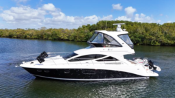 
										SEA RAY SEDAN BRIDGE 45 full									