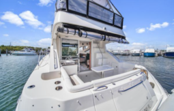 
										SEA RAY SEDAN BRIDGE 45 full									