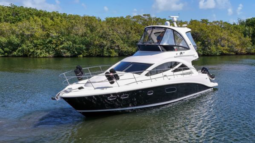 
										SEA RAY SEDAN BRIDGE 45 full									