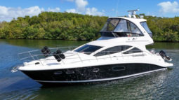 
										SEA RAY SEDAN BRIDGE 45 full									