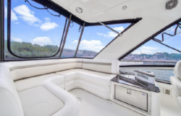 
										SEA RAY SEDAN BRIDGE 45 full									