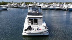 
										SEA RAY SEDAN BRIDGE 45 full									