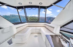 
										SEA RAY SEDAN BRIDGE 45 full									