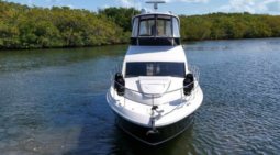 
										SEA RAY SEDAN BRIDGE 45 full									