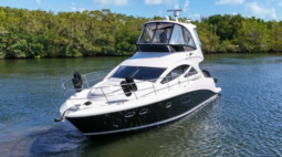 
										SEA RAY SEDAN BRIDGE 45 full									