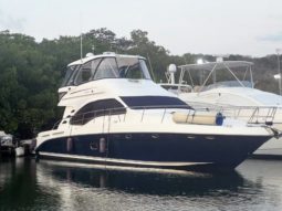 
										SEA RAY SEDAN BRIDGE 55 full									